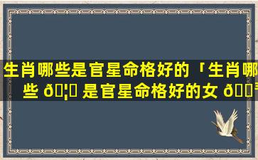 生肖哪些是官星命格好的「生肖哪些 🦉 是官星命格好的女 🌳 生」